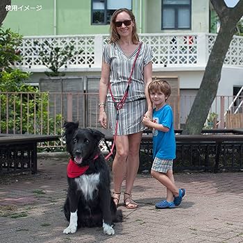 HIGH5DOGS クリックリード 11mm チャコール Amazon | HIGH5DOGS クリックリード 11mm チャコール | ハイ